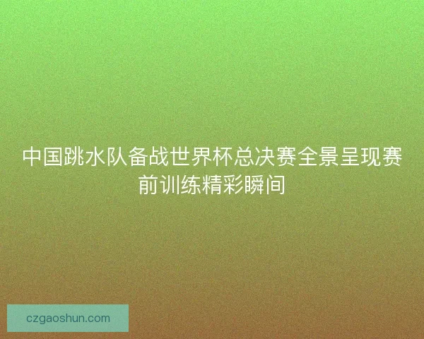 中国跳水队备战世界杯总决赛全景呈现赛前训练精彩瞬间