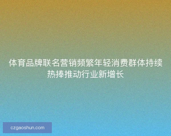 体育品牌联名营销频繁年轻消费群体持续热捧推动行业新增长