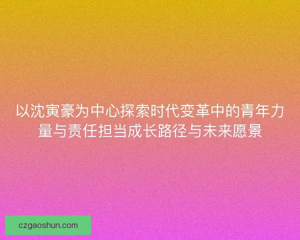 以沈寅豪为中心探索时代变革中的青年力量与责任担当成长路径与未来愿景