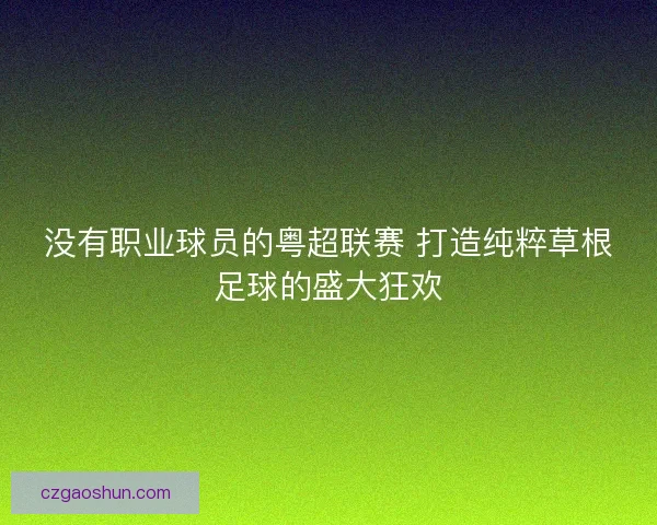 没有职业球员的粤超联赛 打造纯粹草根足球的盛大狂欢