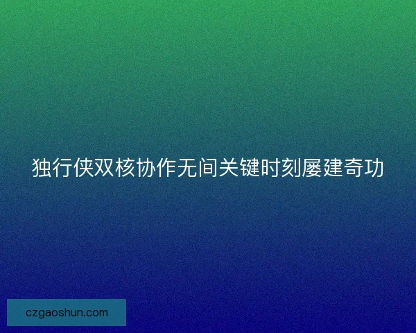 独行侠双核协作无间关键时刻屡建奇功